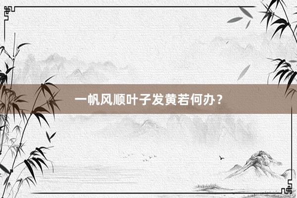一帆风顺叶子发黄若何办？